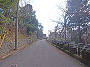 前面道路はゆったりとしています