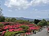周辺：小室山公園（2105m）