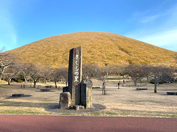 周辺を拡大表示