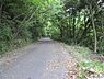 その他：北側道路。