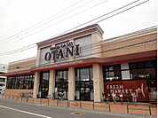 フードオアシスOTANI宇都宮駅東店 255m