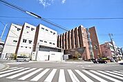 公益社団法人鹿児島共済会 南風病院【南風病院】糖尿病・内分泌内科消化器、呼吸器、脳神経、整形外科関節再建/人工関節センター、脊椎センター、九州腰痛・仙腸関節センター放射線科、麻酔科 450m