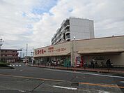 タイヨー玉里団地店【タイヨー玉里団地店】は、鹿児島市玉里団地1丁目2－1に位置する玉里団地中央交差点近くのスーパーです。取扱品目は主に「生鮮食品・日配品・一般食品・日用雑貨・衣料品・お酒」です。駐…