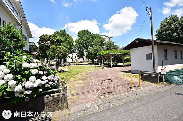 周辺を拡大表示