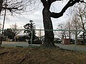 柱第一公園 430m