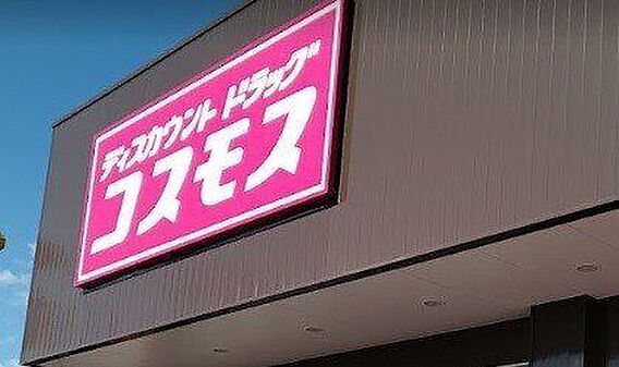 コスモス　小向...