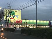 ドラッグスギヤマ　三ノ輪店 1080m