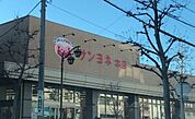 サンヨネ　魚町本店 1640m