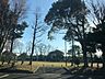 周辺：半ノ木公園 1100m
