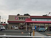 ヤマナカ　豊橋フランテ館 1760m