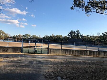 豊橋球場 1290m