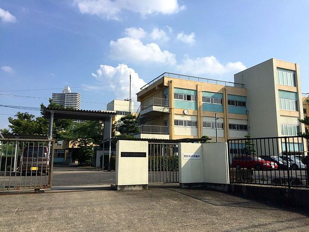 Image 21