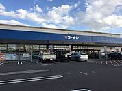 コーナン新小牧パワーズ店【大型売場でDIY用品や園芸用品、日用品まで幅広くそろう便利な店舗。駐車場も広く、まとめ買いや週末の住まいづくりにも頼れるホームセンターです。】 310m