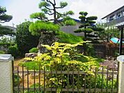 庭