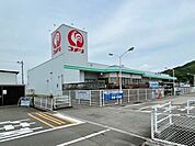 コメリハード＆グリーン野市店 2700m