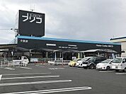 ブリコ介良店 900m