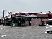 業務用食品スーパーPROMART 土佐山田店 300m