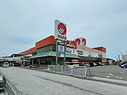 マルナカ野市店 1100m