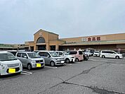 フジグラン野市 1800m