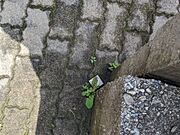 その他屋外