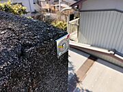 その他屋外