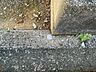 その他：その他