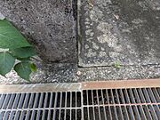 その他屋外