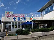 【タイヨー吉野店】は、鹿児島市吉野町1731番地に位置する鹿児島吉田線近くのスーパーです。取扱品目は主に「生鮮食品・日配品・一般食品・日用雑貨・衣料品・お酒」です。駐車場があります。 520m
