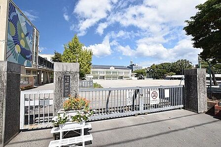 【鹿児島市立南小学校】は、東郡元町に位置する1957年創立の小学校です。令和3年度の生徒数は413人で、15クラスあります。校訓は「まじめに　げんきに　ほがらかに」です。 550m