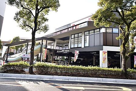 【ドラックイレブン甲南通り店】鹿児島市上之園町にあるドラッグストアです。営業時間　9：00～00：00設備・サービス　駐車場有、100円ショップ、医薬品、食品、精肉、青果、酒類など 470m