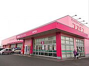 ディスカウントドラッグコスモス 神門店 1750m