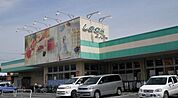 しまむらストアー 長持店 260m
