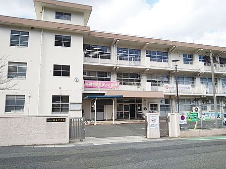 【緑丘中学校】緑囲まれていて高台にある中学校です♪ 1265m