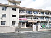 【緑丘中学校】緑囲まれていて高台にある中学校です♪ 1265m