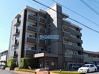 福岡県久留米市山川安居野3丁目：物件画像／うめの地所株式会社　本店