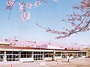 相武台中央幼稚園 徒歩5分。 390m