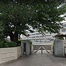 横浜市立市沢小学校 徒歩2分。 150m