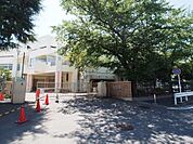 横浜市立初音が丘小学校 徒歩7分。 550m