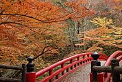 岩屋堂公園 2540m