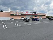 クスリのアオキ 皐ヶ丘店 1870m