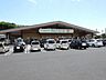 周辺：とれったひろば(ＪＡめぐみの産直市場） 800m