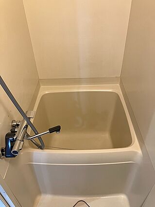 エヴァグリーン_その他_0