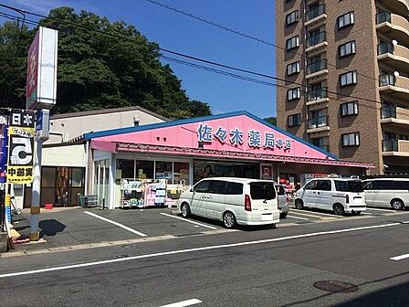 佐々木薬局 本店 800m