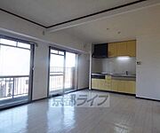 広々としています