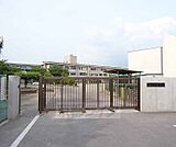 槙島小学校まで705m