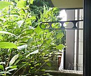 ・102号室からの眺望です