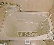 バスです。