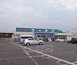 ホームセンターコーナン 京田辺店まで154m