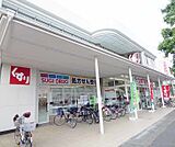 スギ薬局 常盤店まで175m 駐車場も広々としています。