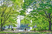程よい距離感で休日のお散歩に